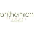 Voucher Anthemion Flowers